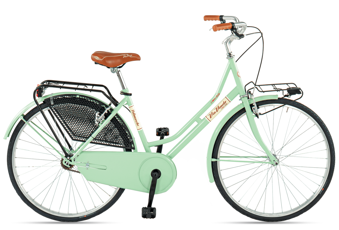 bici-vintage-olandese-sabrina-verde